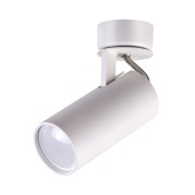 Потолочный светильник Odeon Light Corse 3873/1C