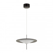 Подвесной светильник Odeon Light Steka 5012/16L