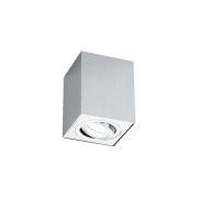 Потолочный светильник Maytoni Alfa C017CL-01S