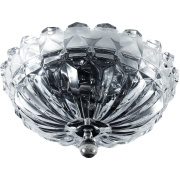 Потолочный светильник Divinare Calotta 4003/01 PL-2