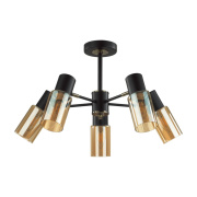 Потолочная люстра Lumion Ronnie 5644/5C