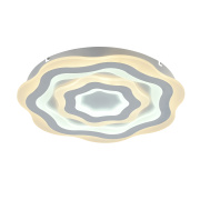 Потолочный светильник F-Promo Ledolution 2287-5C