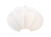 Настенный светильник Arte Lamp Cocoon A6190AP-1WH