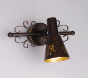 Спот Citilux Дункан CL529511