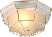 Уличный светильник Arte Lamp Pegasus A3121PF-1WG