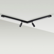 Потолочный светильник Lumion Hawk 5690/19CL