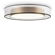 Потолочный светильник Freya Zoticus FR6005CL-L48G