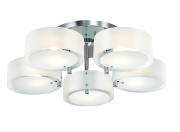 Потолочная люстра ST LUCE FORESTA SL483.502.05
