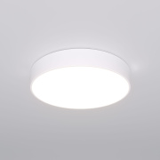 Потолочный светодиодный светильник Eurosvet Entire 90319/1 белый