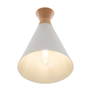 Настенный светильник Freya Rise FR5169WL-01W