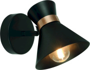 Спот Arte Lamp Baltimore A1406AP-1BK