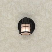 Спот Citilux Реймс CL563511