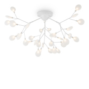 Потолочный светильник Freya Florencia FR5049CL-36W1