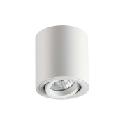 Потолочный накладной светильник Odeon Light TUBORINO 3567/1C