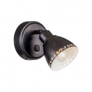 Настенно-потолочный светильник Citilux Робуста CL509512