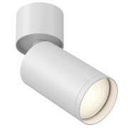 Потолочный светильник Maytoni Technical Focus S C050CL-1W