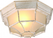 Уличный светильник Arte Lamp Pegasus A3121PF-1WG