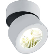 Спот Divinare Urchin 1295/03 PL-1