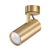 Потолочный светильник Odeon Light Corse 3876/1C