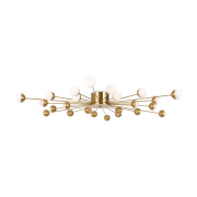 Потолочный светильник Freya Celebrity FR5242CL-24BS