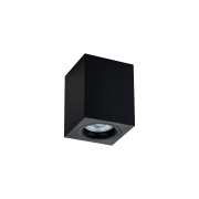 Потолочный светильник Maytoni Alfa C013CL-01B