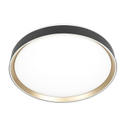 Потолочный светодиодный светильник Citilux Boss CL751451G