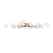 Потолочный светильник Freya Celebrity FR5242CL-24BS1