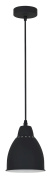 Подвесной светильник Arte Lamp Braccio A2054SP-1BK