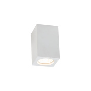 Потолочный светильник Maytoni Conik gyps C005CW-01W