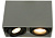 Потолочный светильник Arte Lamp A5655PL-2WH