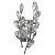 Бра Lightstar Isabelle 791614
