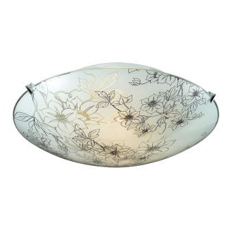 Изображение загружено обработкой по данным файла Excel