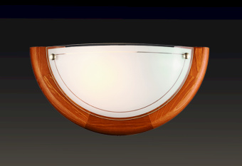 Изображение загружено обработкой по данным файла Excel