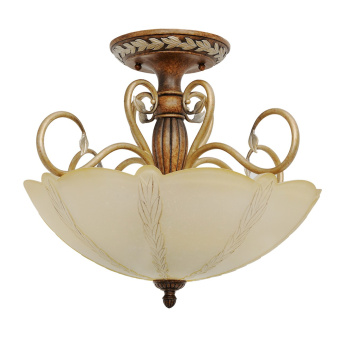 chiaro-versache-254013405