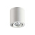 Потолочный накладной светильник Odeon Light TUBORINO 3567/1C